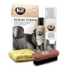 Kit curatare tapiterie piele Auron Strong K2