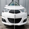 NUTA INSECT 700ml - Solutie curatat urme insecte 700ml-pulverizator