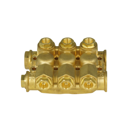 Chiuloasa asamblata D18 AR-RC