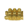 Chiuloasa asamblata D18 AR-RC