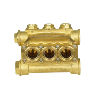 Chiuloasa asamblata D18 AR-RC