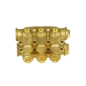 Chiuloasa asamblata D18 AR-RC